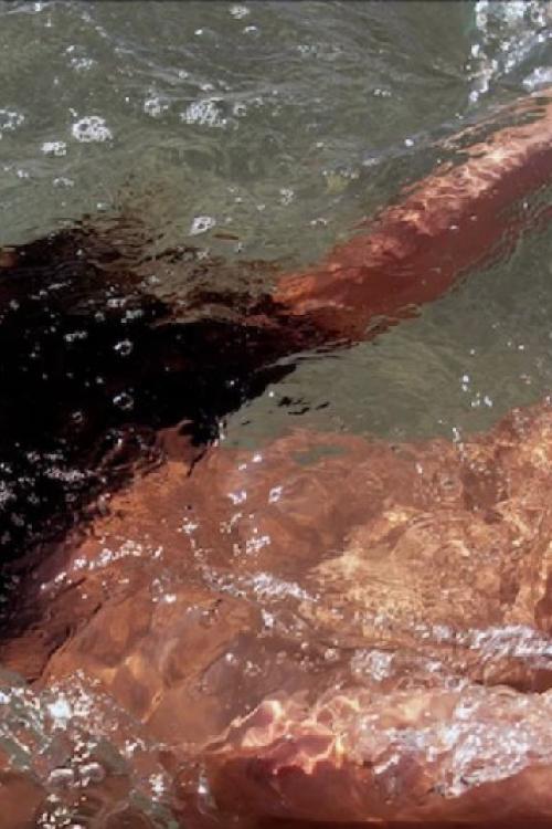 Бесплатные объявления СПб | Позабудешь все печали, если ты приехал к