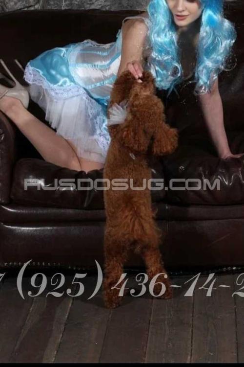 Проститутка Александра, СПб у метро Московская