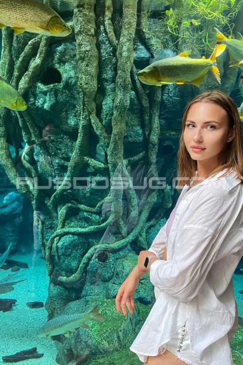 Проститутка Анастасия, Москвы у метро Войковская