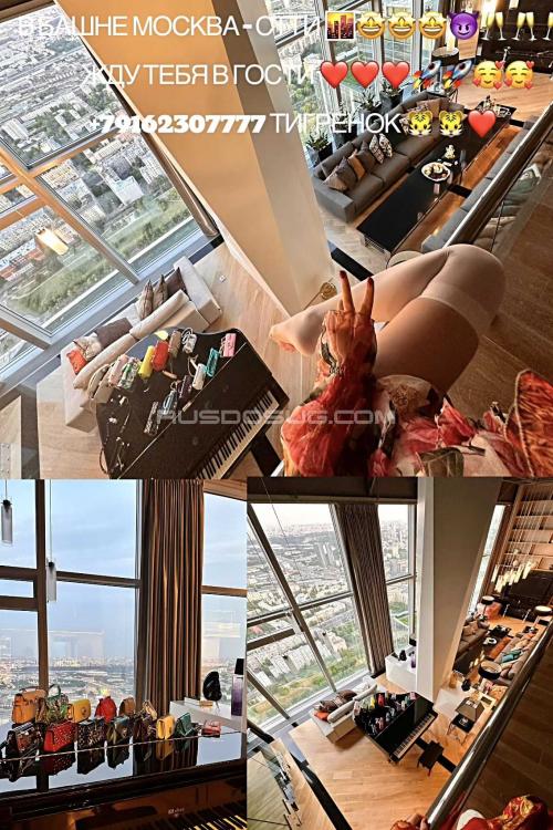 Проститутка Тигренок живу в Москва сити, Москвы у метро Выставочная