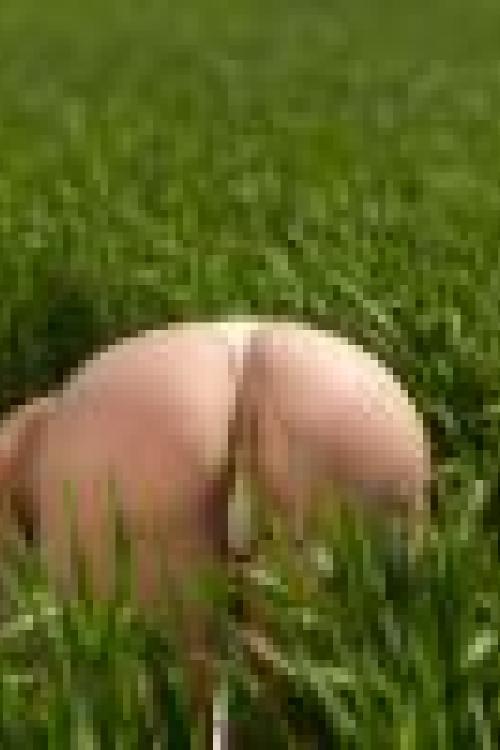 Проститутка Алла, в Питере у метро Проспект Ветеранов