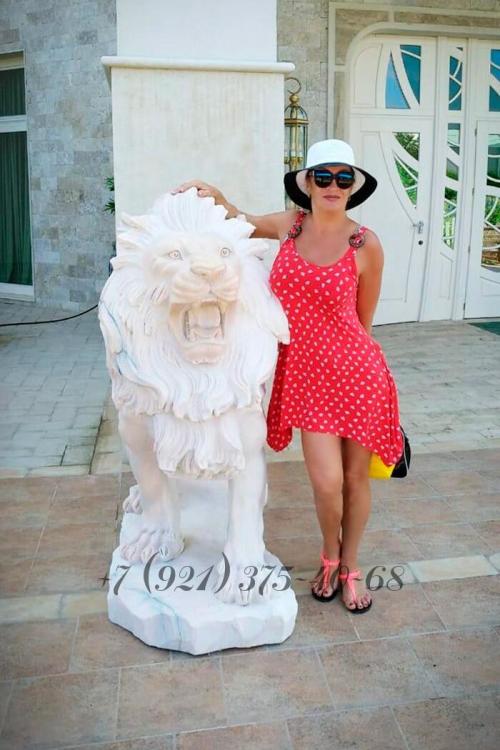 Девушка Проститутка в Питере у метро Чернышевская